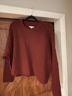 American Eagle Outfitters Cropped Crewneck Sweater - Rust Brown